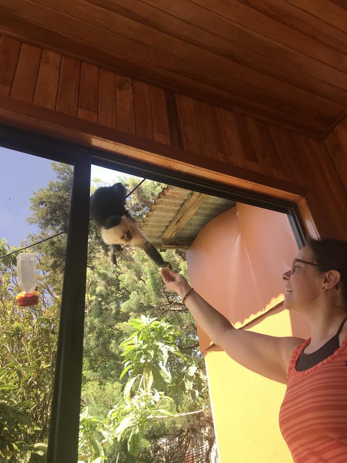 Que Tuanis Hostel Monteverde Εξωτερικό φωτογραφία